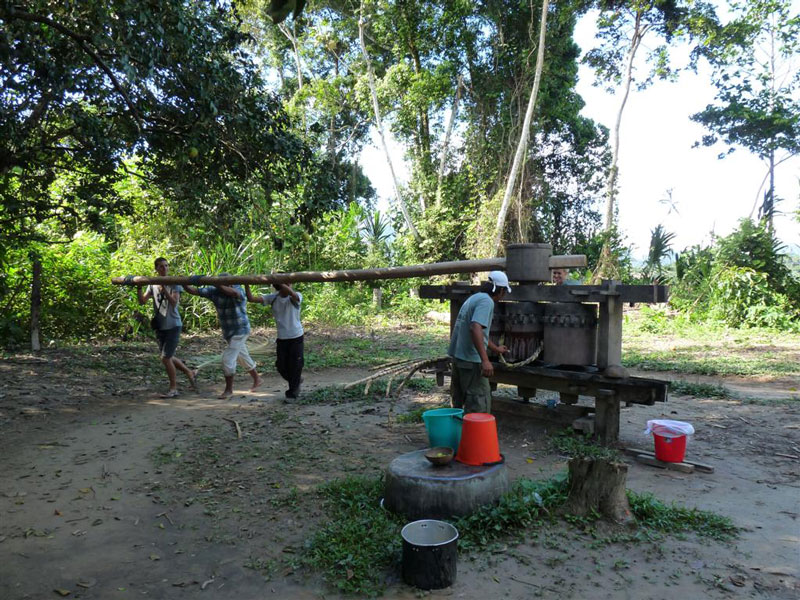 MADIDI: Ecolodge y Selva